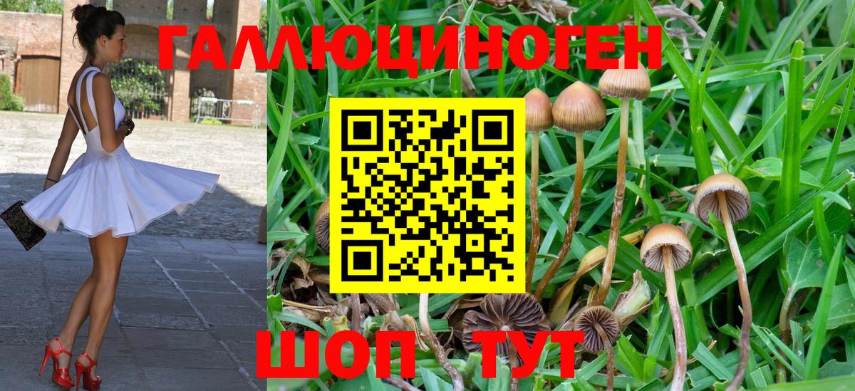 Дубна  Галлюциногенные грибы Magic Shrooms  Псилоцибиновые грибы GOLDEN TEACHER  Вход с VPN 